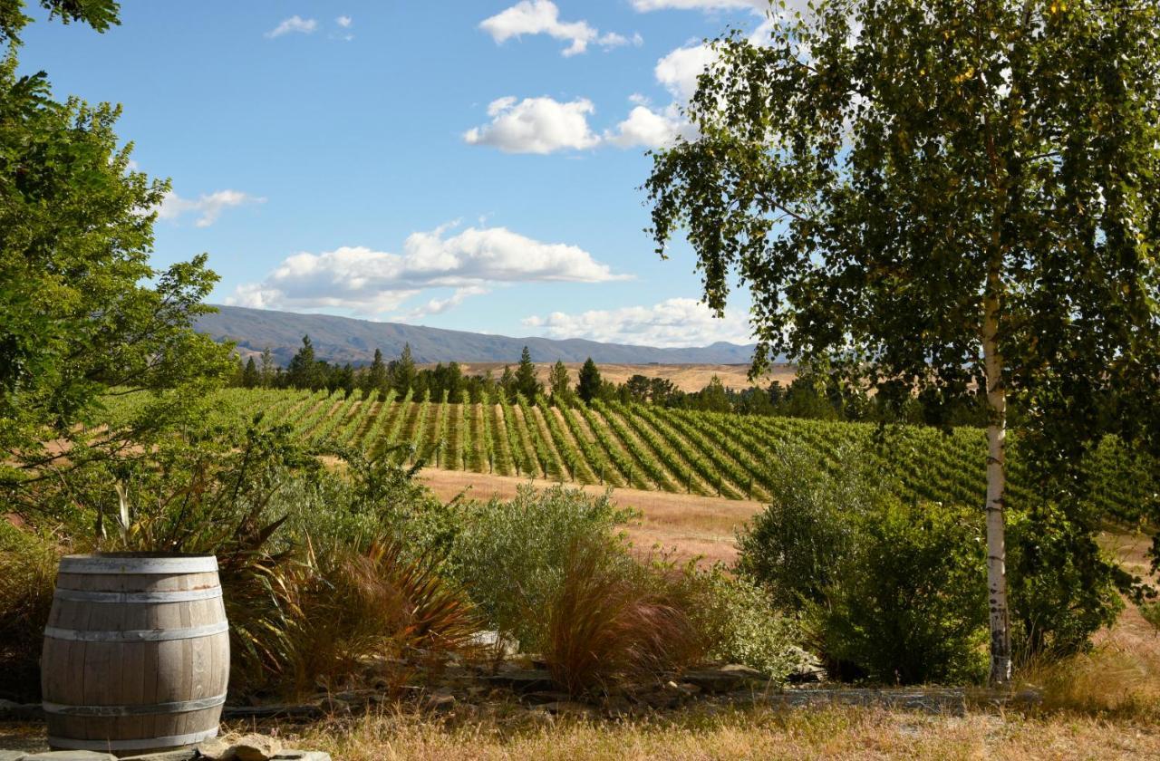 알렉산드라 Grey Ridge Vineyard Experience B&B 외부 사진