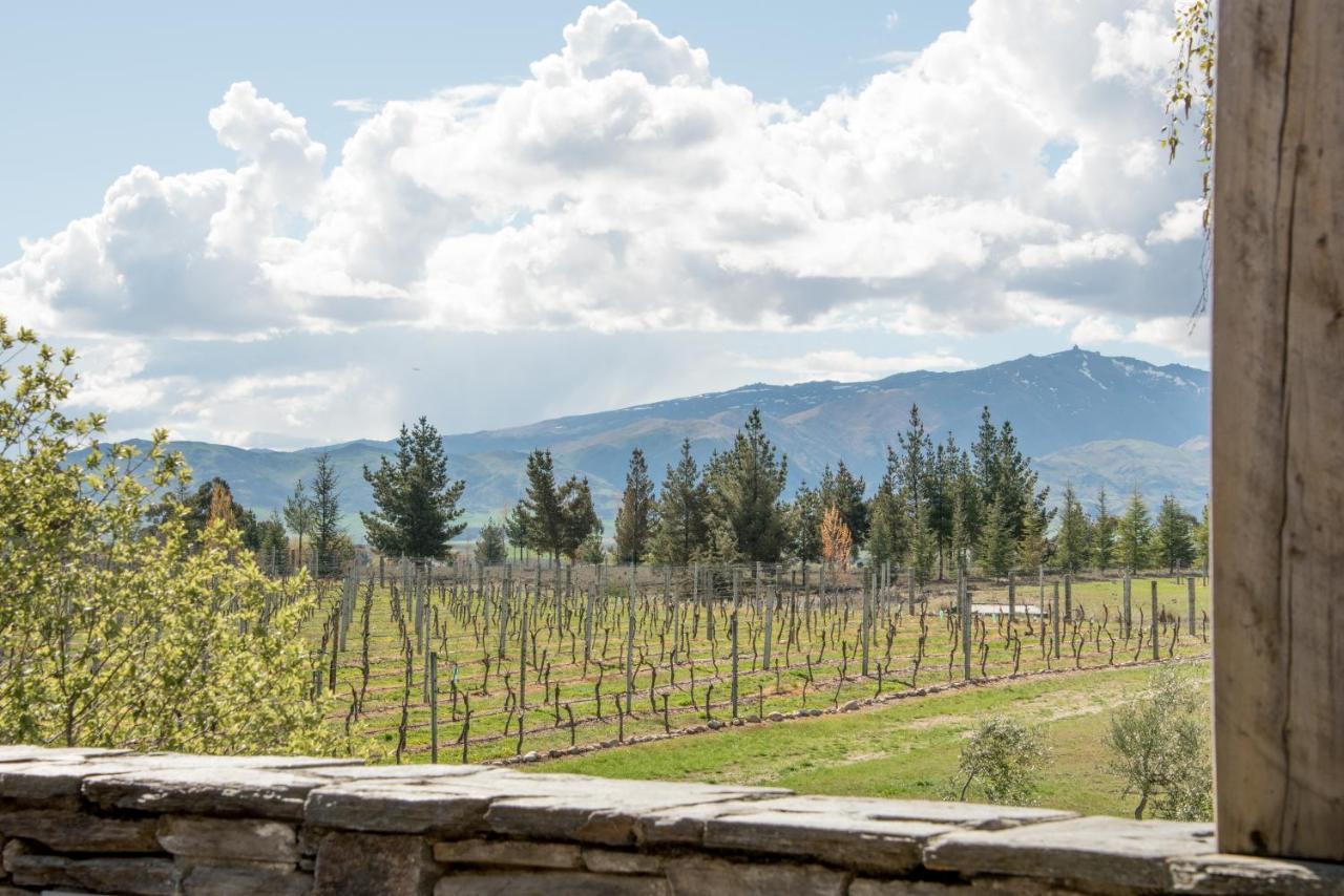 알렉산드라 Grey Ridge Vineyard Experience B&B 외부 사진