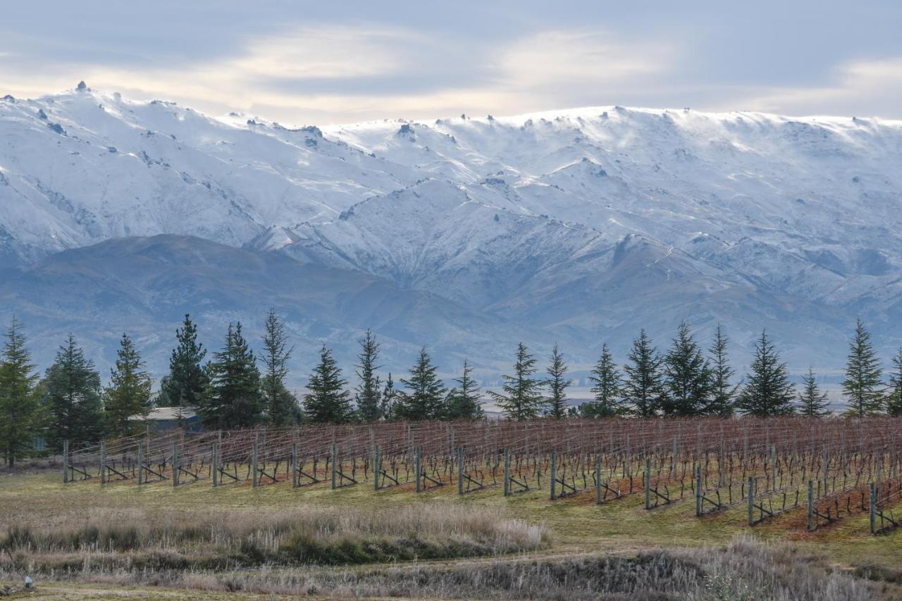 알렉산드라 Grey Ridge Vineyard Experience B&B 외부 사진