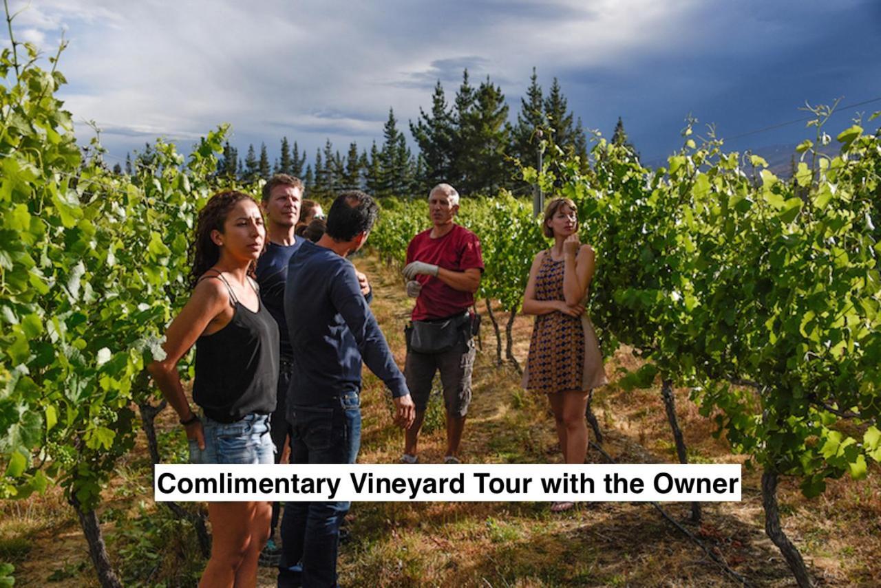 알렉산드라 Grey Ridge Vineyard Experience B&B 외부 사진